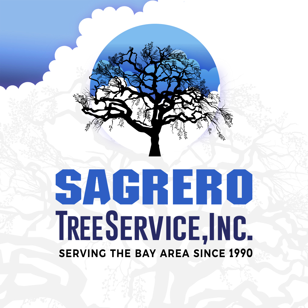 Sagrero Tree Service