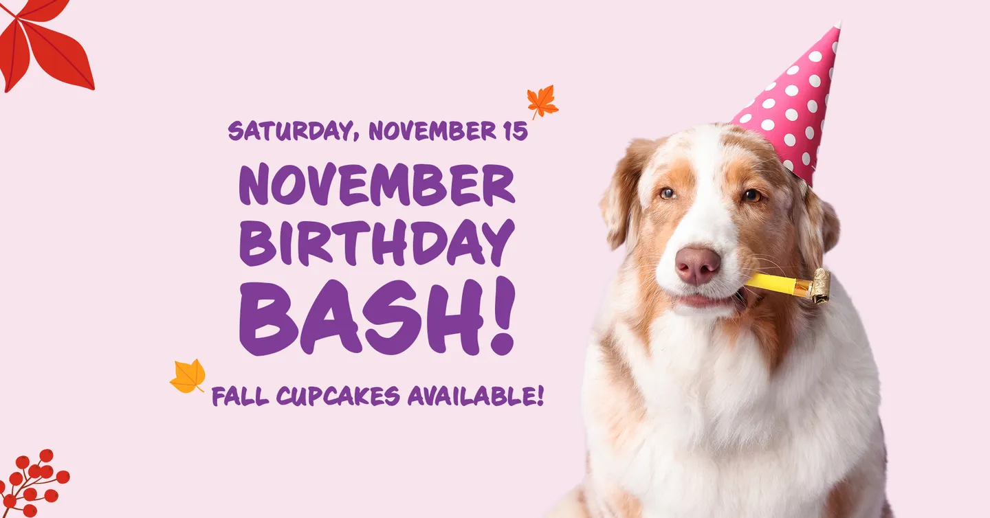 Image of Local Pet Event November Birthday & Gotcha Day Bash! Nearby