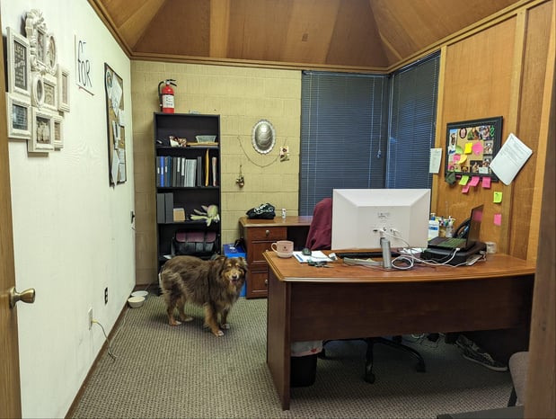 Images Senior Helpers