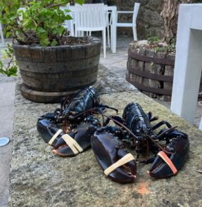Granxa Do Costado Asador