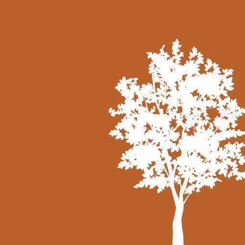 The Stetson - a Cottonwood Community