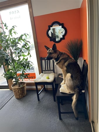 Images PURCOR Pest Solutions