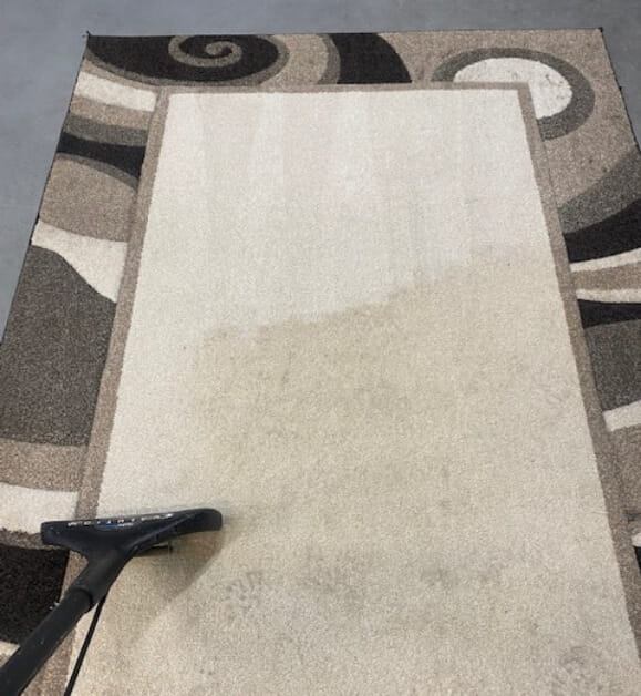 Plymouth Carpet Cleaning offers services to aid in carpet maintenance. With friendly professionals and high-quality products, our carpet cleaning services are designed to help you maintain a healthy and clean environment—residential and commercial.