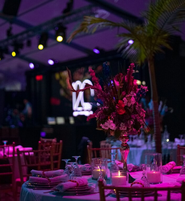 Images Sound Storm DJ Service