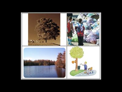 Images Tarani