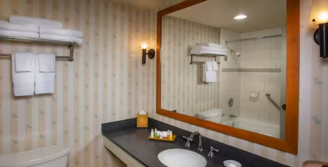 Disney's Paradise Pier Hotel Standard View Room Bathroom