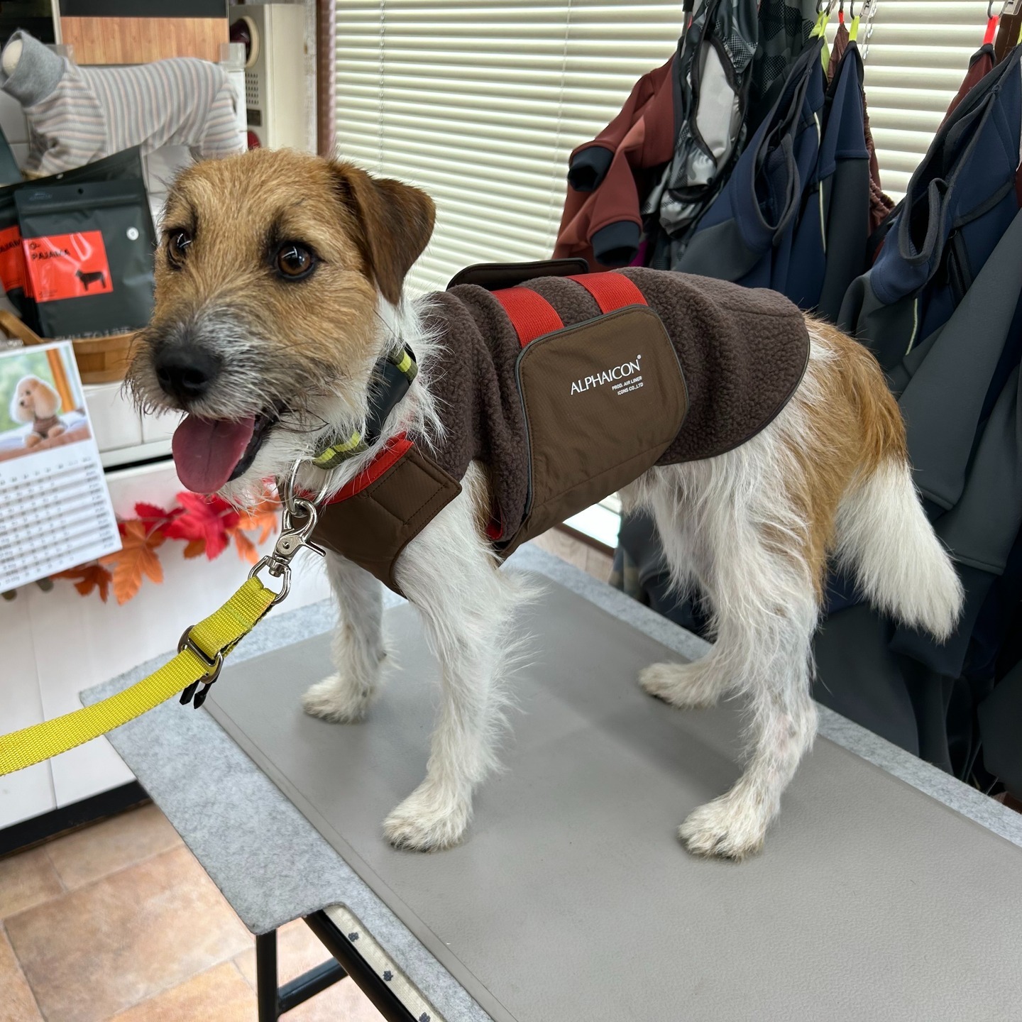 Images たまとポチ 宇津木店