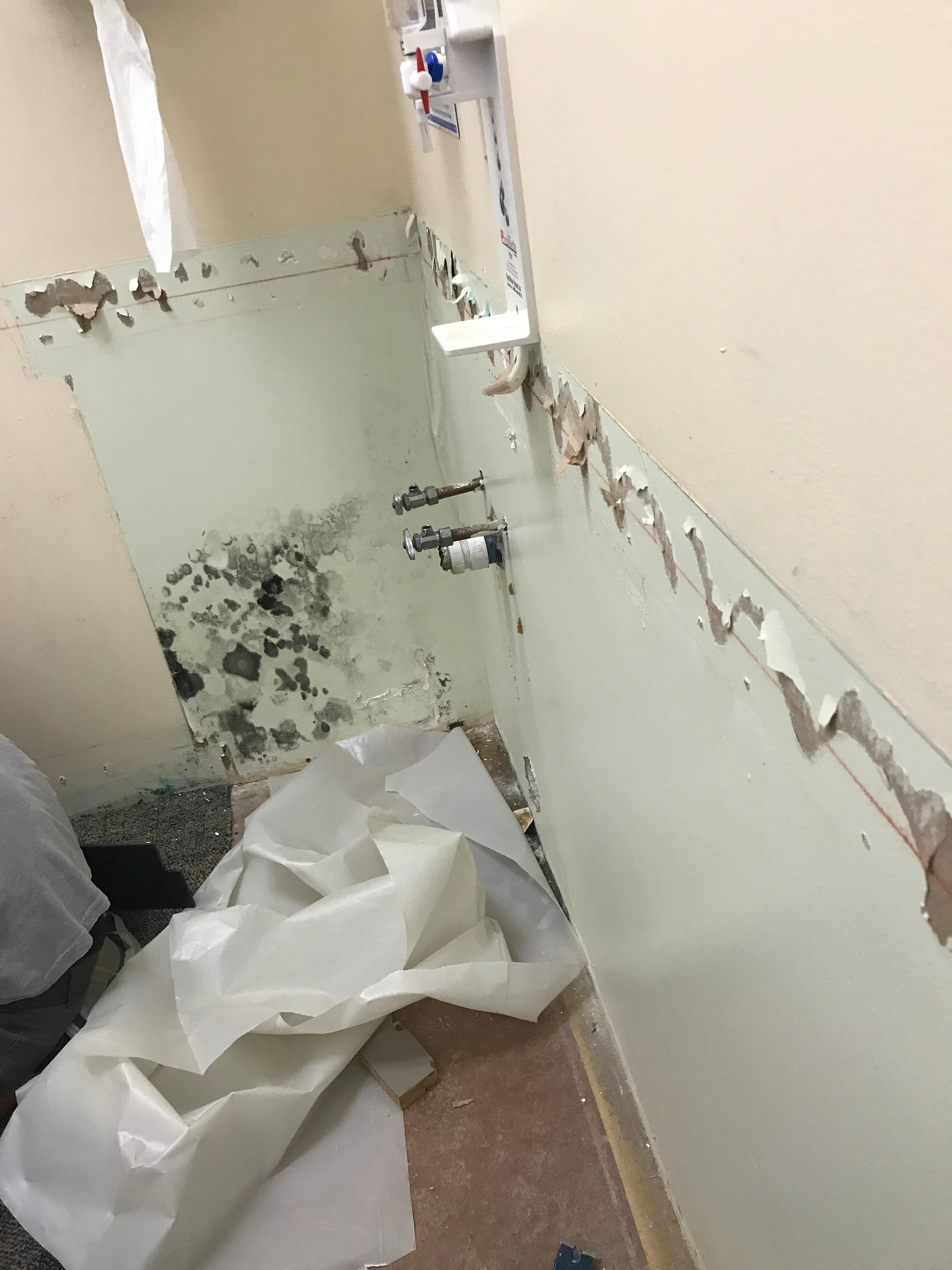 Responding to a commercial mold growth.