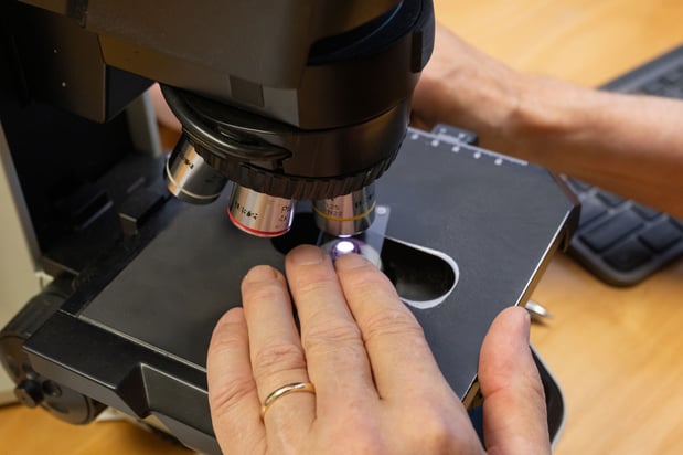 Images Golden State Dermatopathology Lab