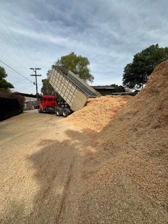 Images USA Shavings