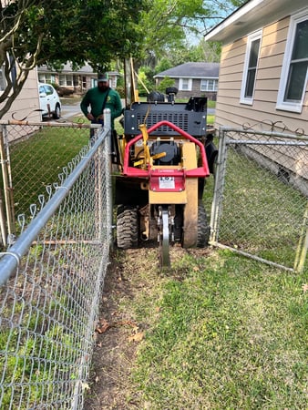 Images Magana Tree Service