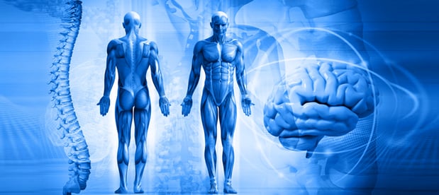 Images Health & Energy Acupuncture