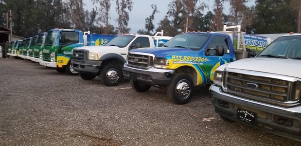 Images Consolidated Pest Control