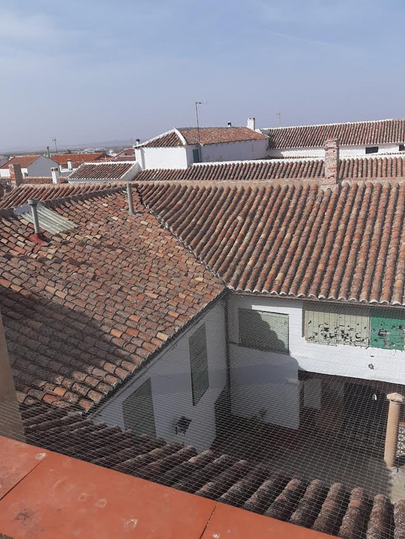 Images Bio Vector Control