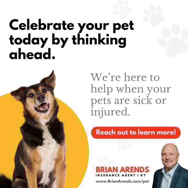 Images Brian Arends - State Farm Insurance Agent