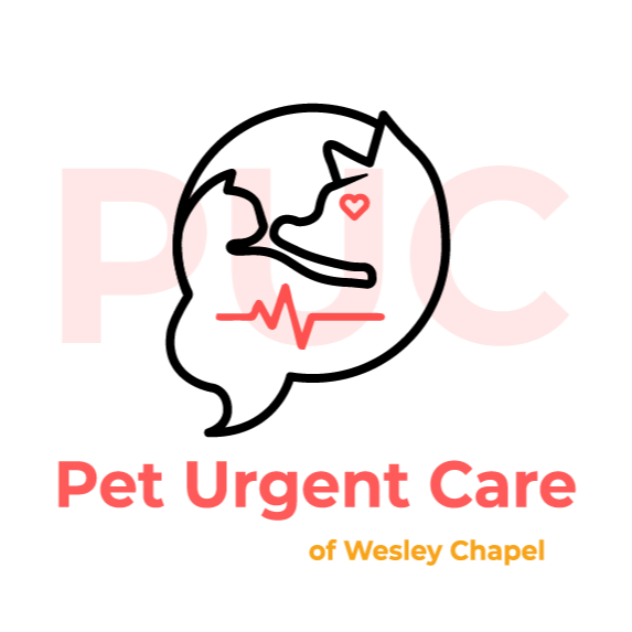 Pet Urgent Care of Wesley Chapel Logo
