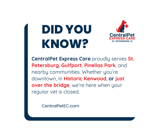 Images CentralPet Express Care
