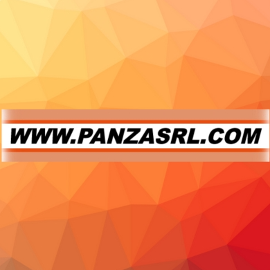 panzasrl.com Logo