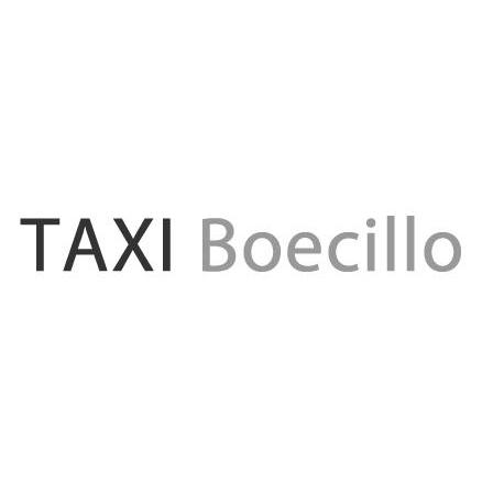 Taxi Boecillo Logo