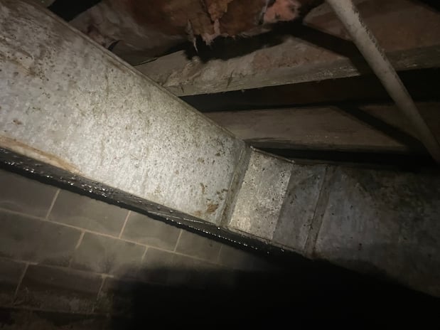 Images Ox Foundation Solutions