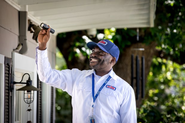Images Clark Pest Control