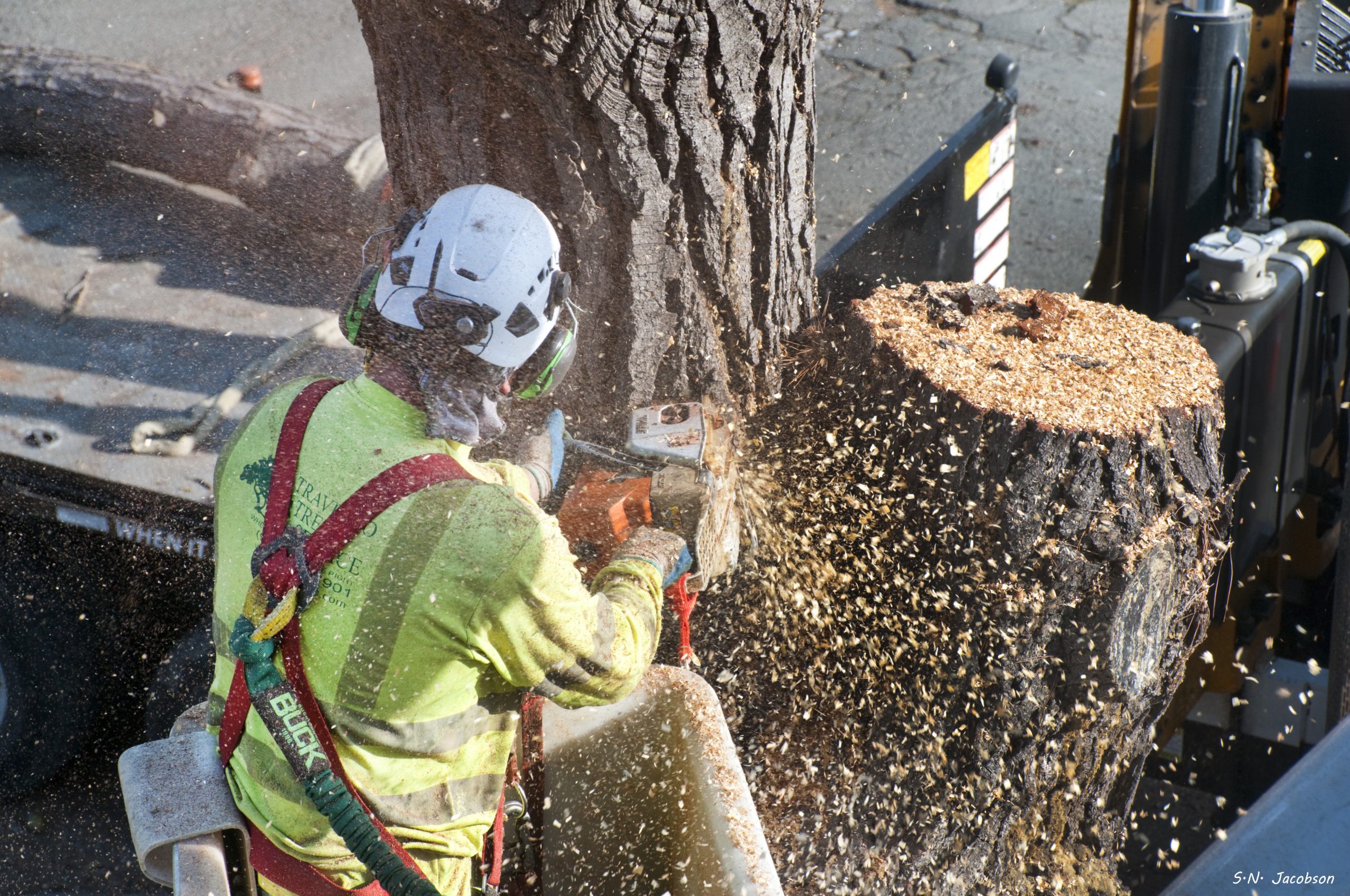 Lucca Landscaping & Construction LLC offers reliable tree cutting services to help manage overgrown, hazardous, or unwanted trees on your property. We handle each job with safety and precision, making sure your landscape remains clean and secure. Our team is experienced in working with trees of all sizes and types, ensuring efficient service with professional results. We’re committed to keeping your outdoor space well-maintained and safe.