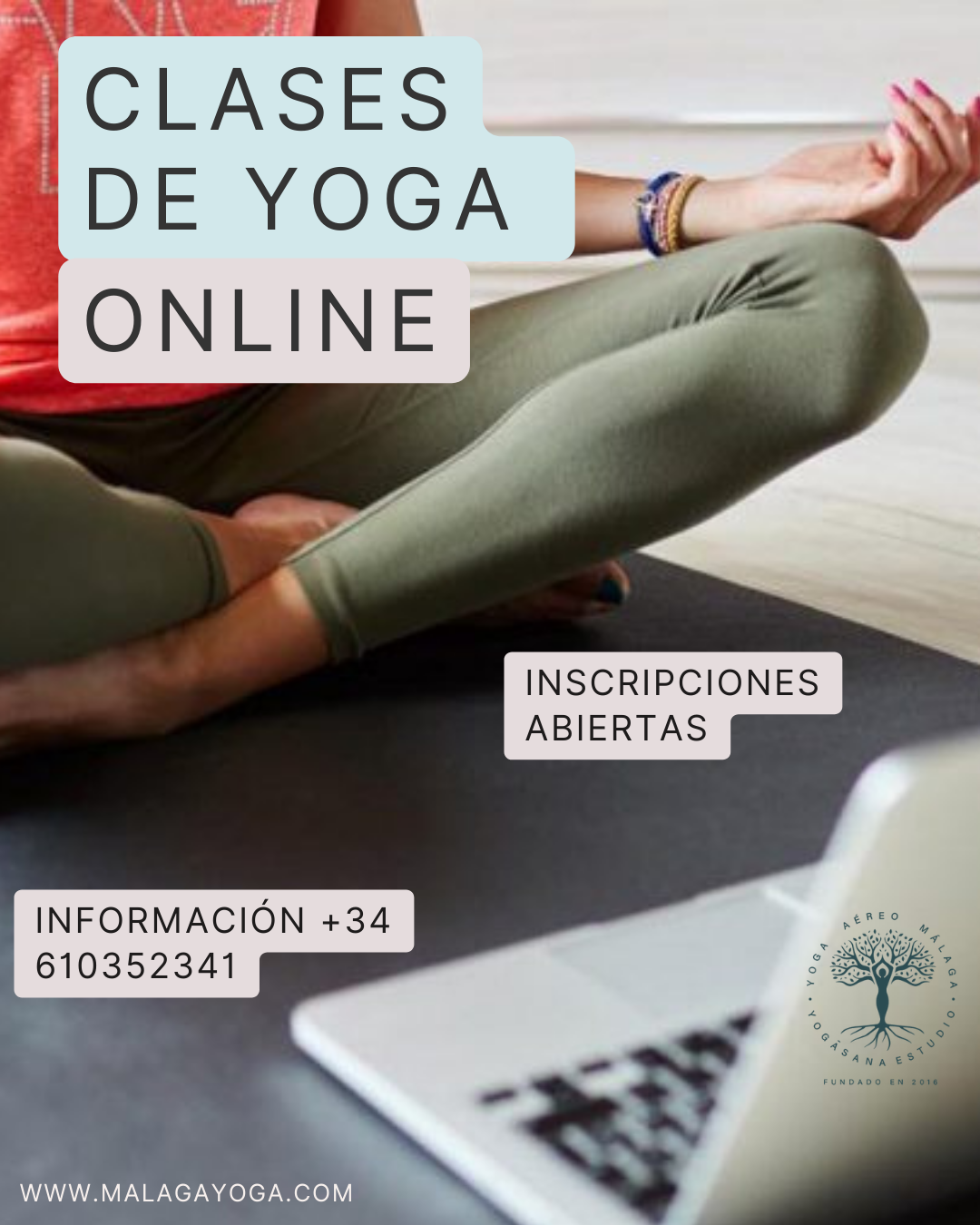 Images Yoga Aéreo Malaga - Yogāsana Estudio