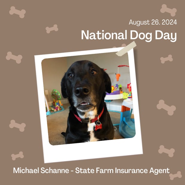 Images Michael Schanne - State Farm Insurance Agent