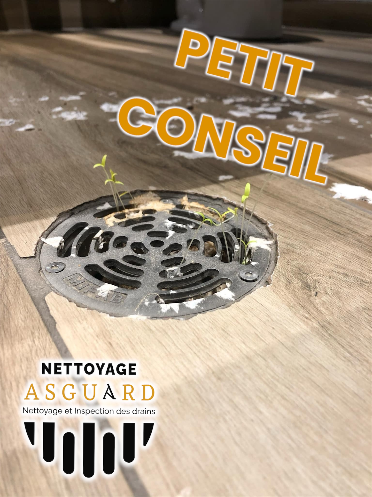 Images Nettoyage Asguard