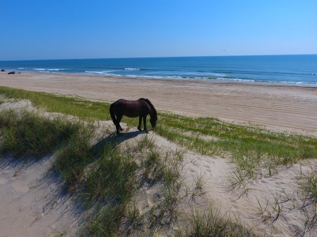 Images Brindley Beach Vacations & Sales