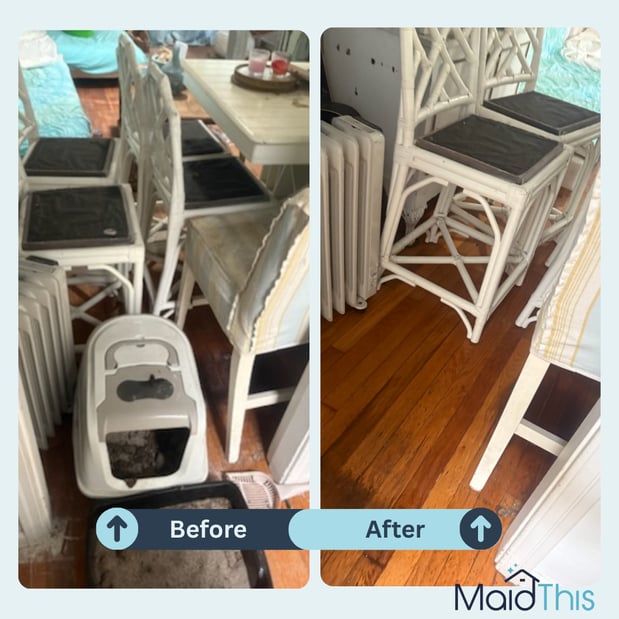 Images MaidThis Cleaning of Pittsburgh