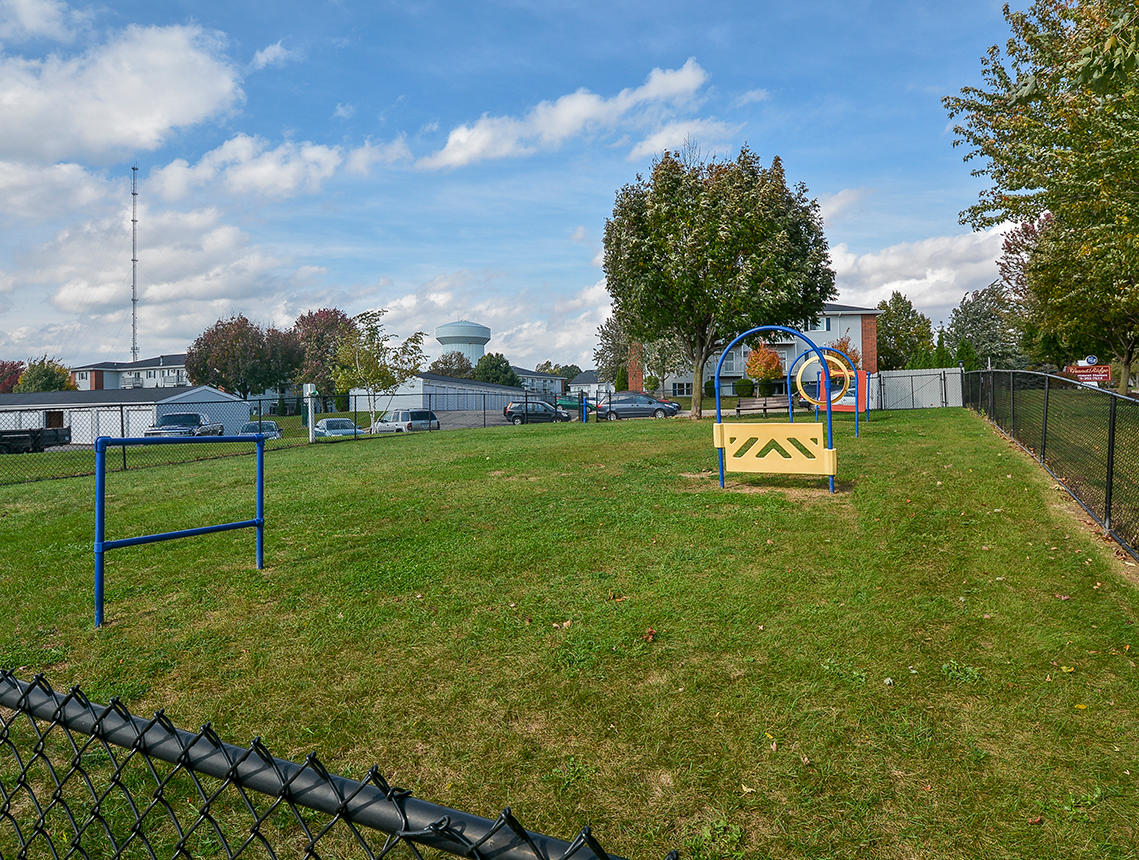 Fenced-In Dog Park