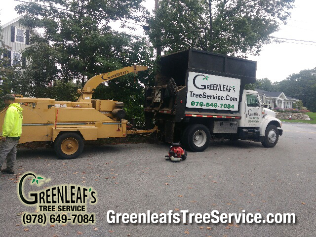 Greenleaf's Tree Service Photo