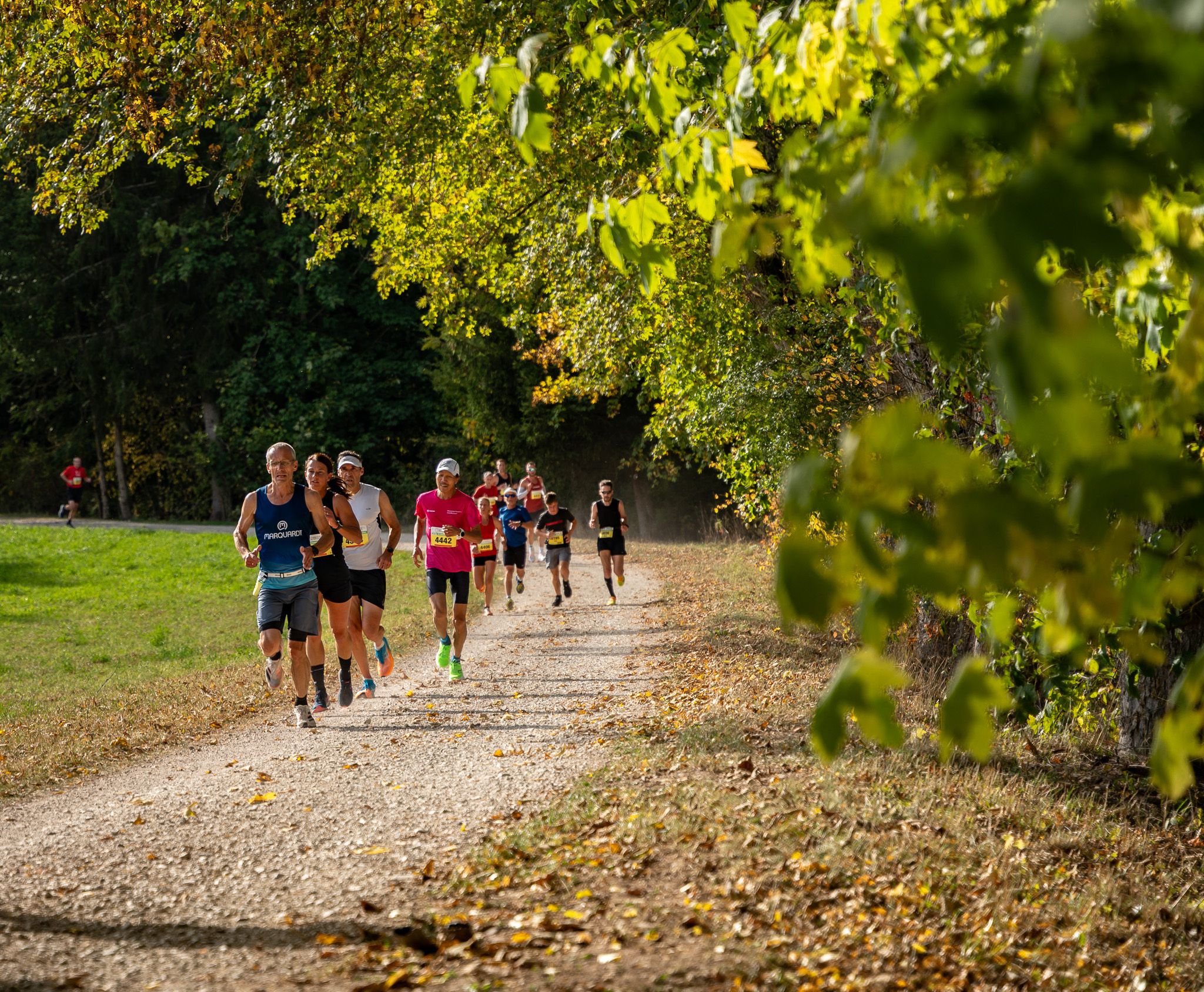 LSG Schwarzwald-Marathon e.V., Sommergasse 6 in Bräunlingen