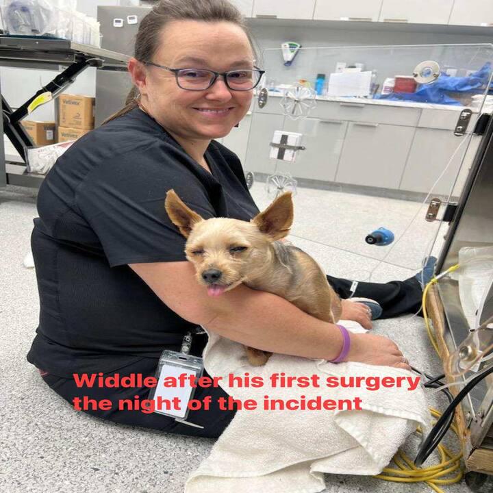 Images Tricounty Veterinary Emergency Clinic