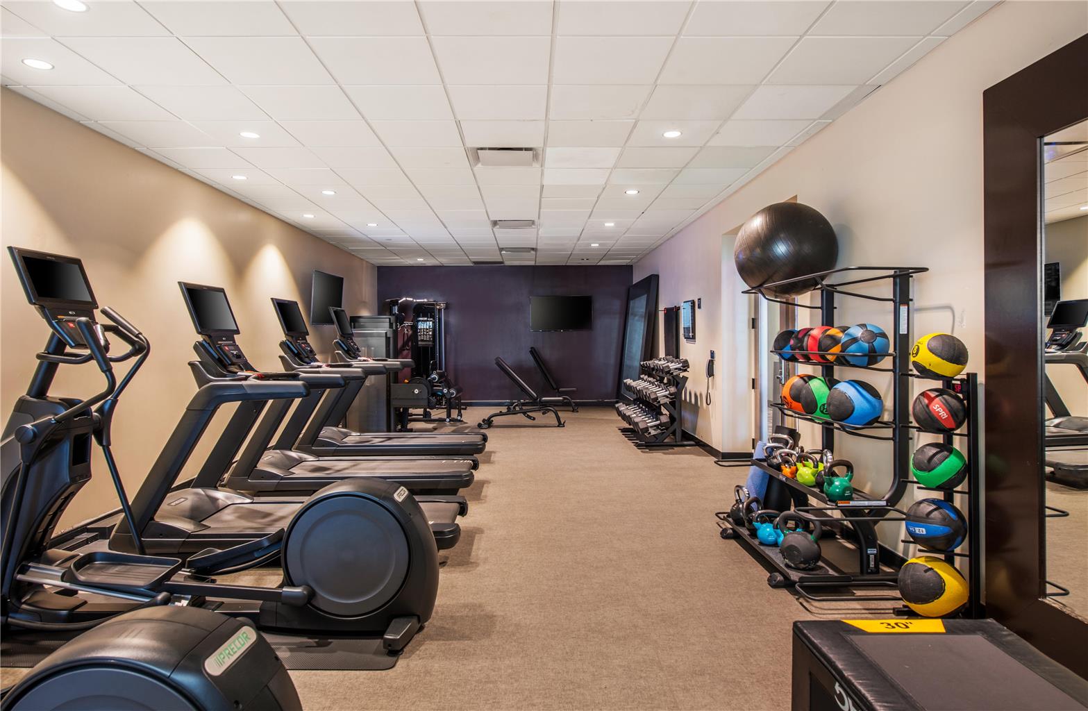Health club  fitness center  gym 