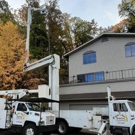 Andy's Tree Service Logo