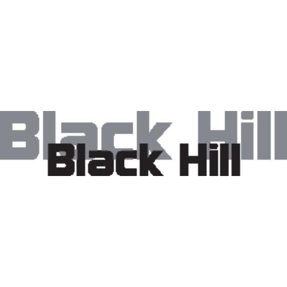 WSI AB / Blackhill Logo