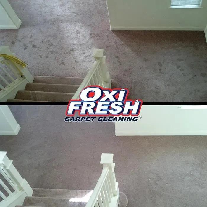 Images Oxi Fresh Carpet Cleaning