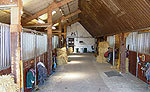 Foto's Kommer Mini-Camping Paardenpension De
