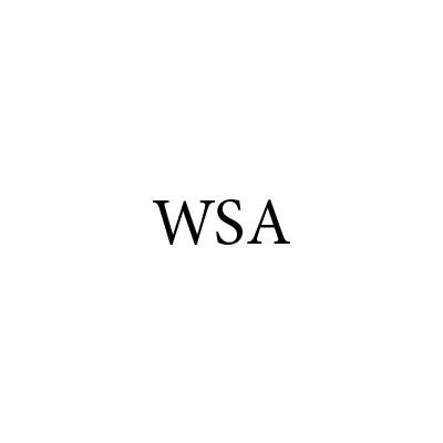 Walnut Spring Auto Logo