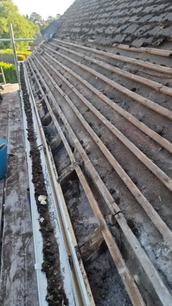 Images Ridge Right Roofing