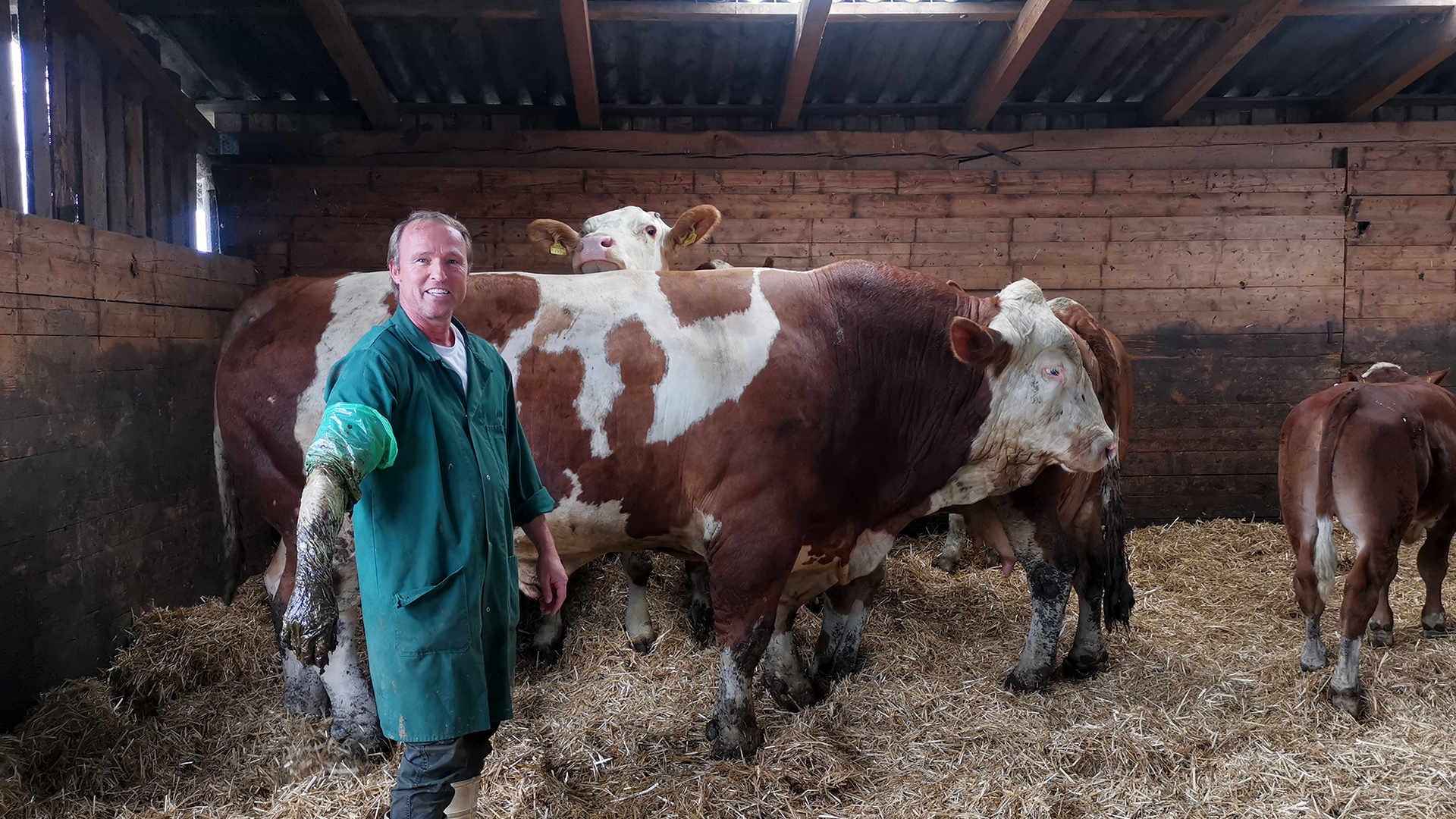 Dipl-TA Josef Riss, Schiefeckerstraße 14 in Altheim