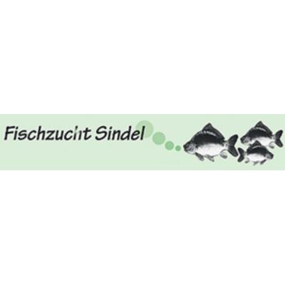 Sindel GmbH & Co. KG in Feuchtwangen - Logo