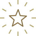 Shining star icon.