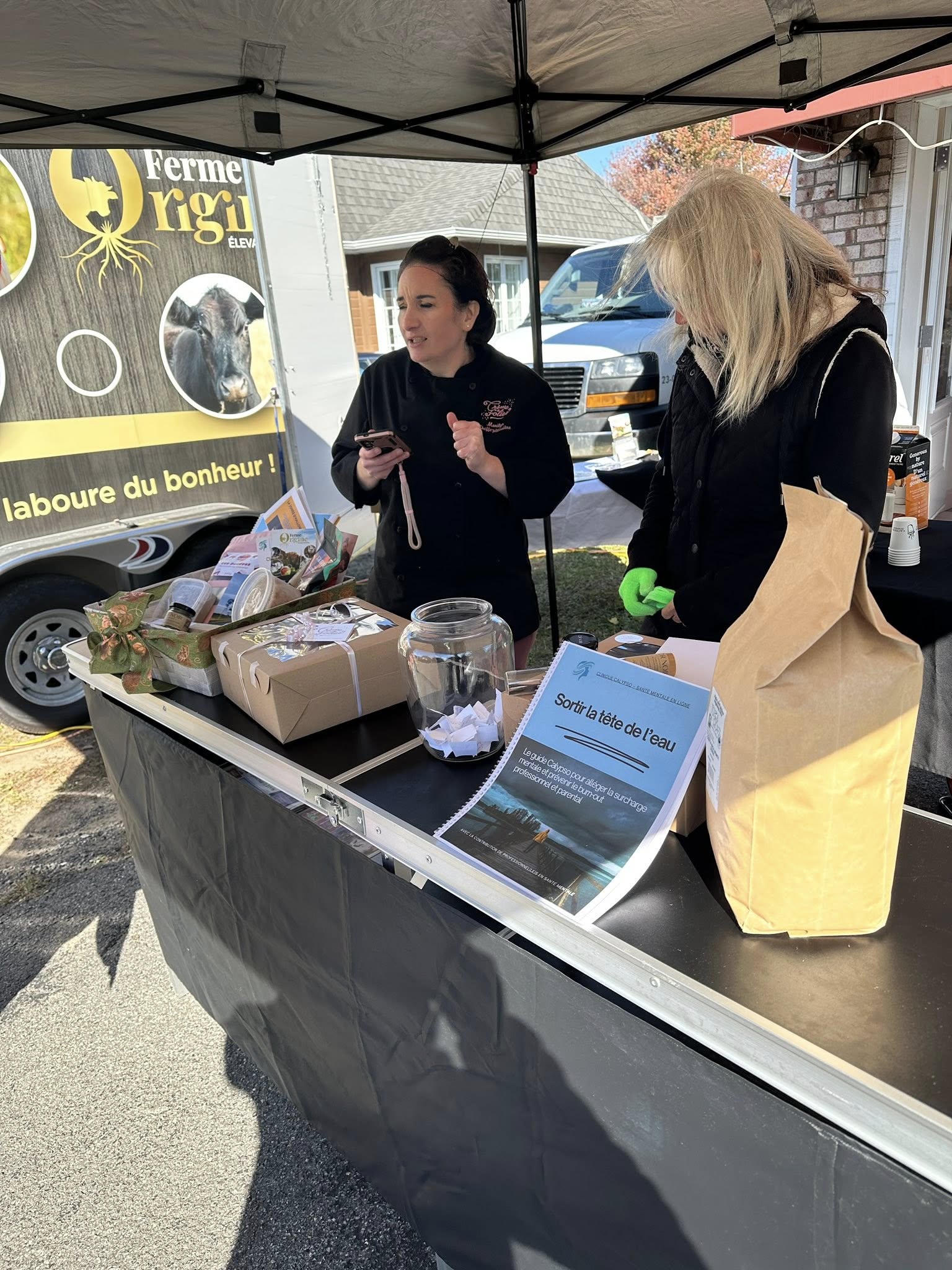 Images Clinique Calypso - Psychologue Levis