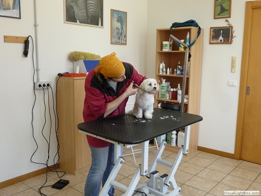 Images Qua La Zampa