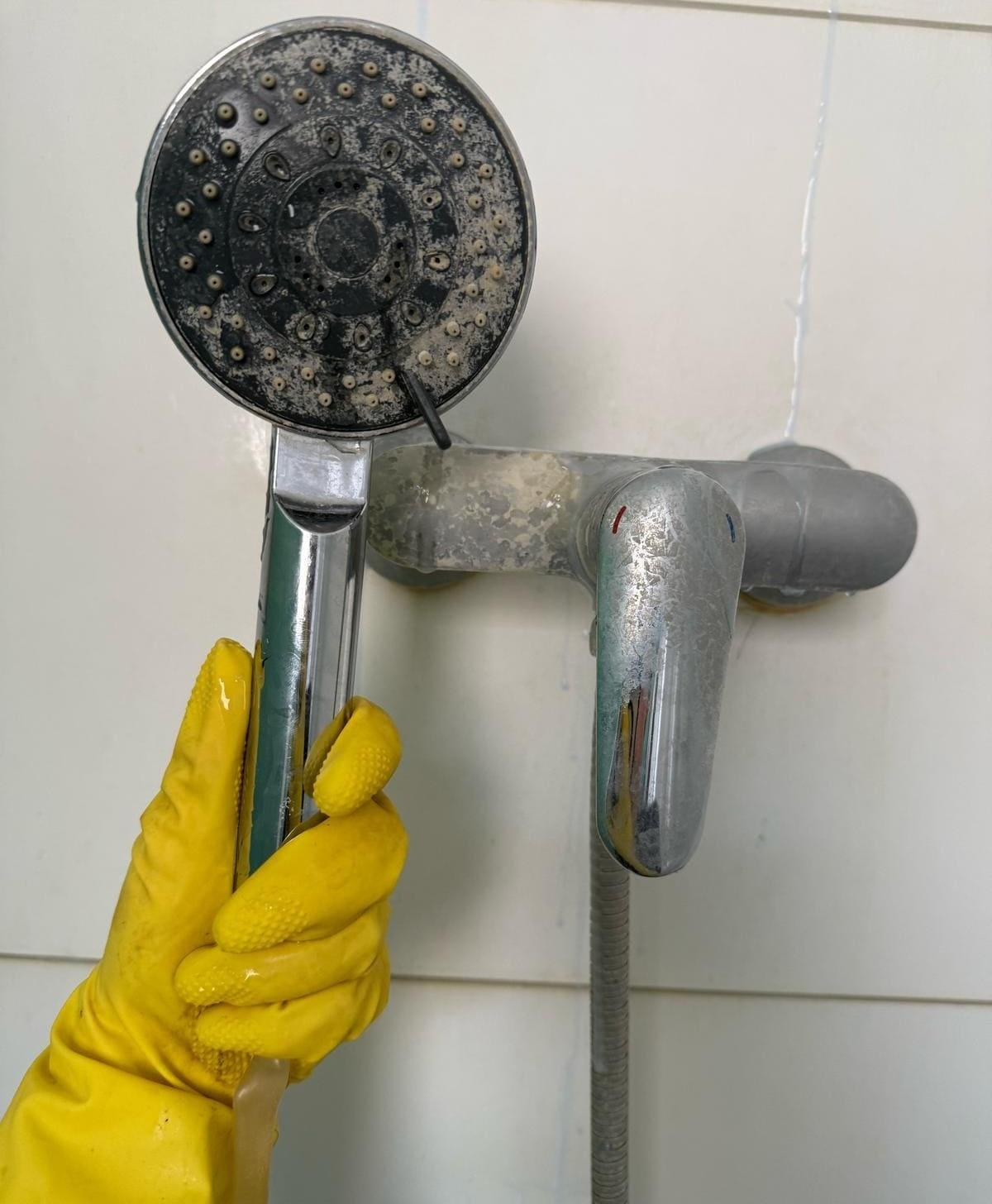 Bild 1 Nick Gebäudereinigung in Römerberg