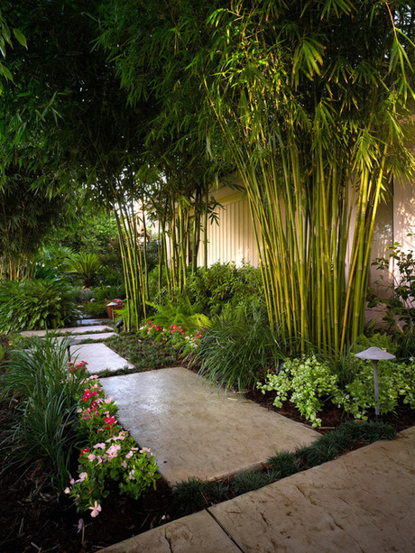 Images Il Giardiniere