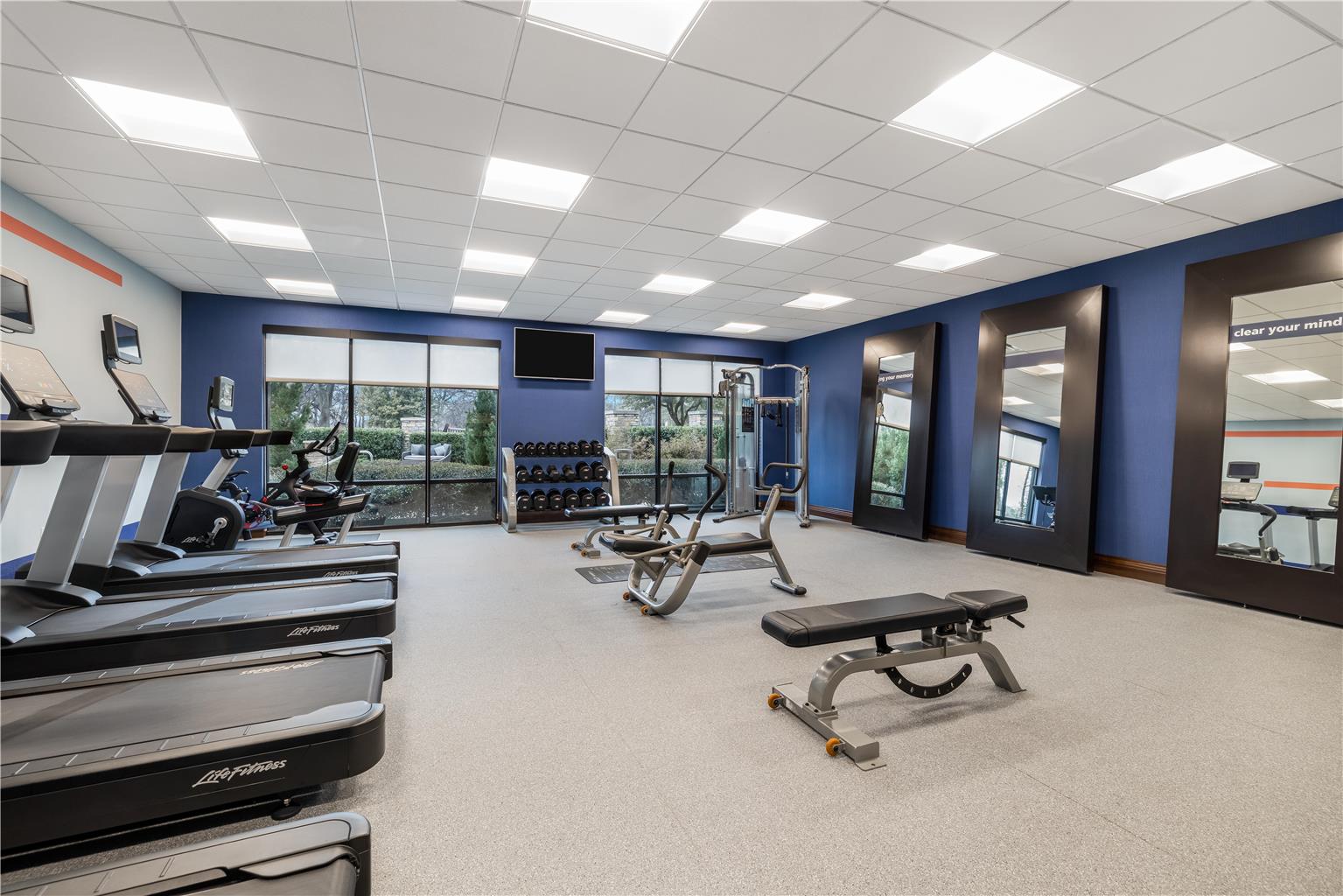 Health club fitness center gym